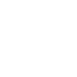 Kamerasymbol für das Fotografieren und der Dokumentation der Mängel.